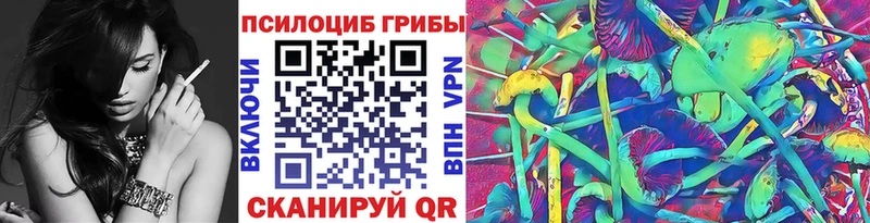 закладка  Ахтырский  Псилоцибиновые грибы прущие грибы 